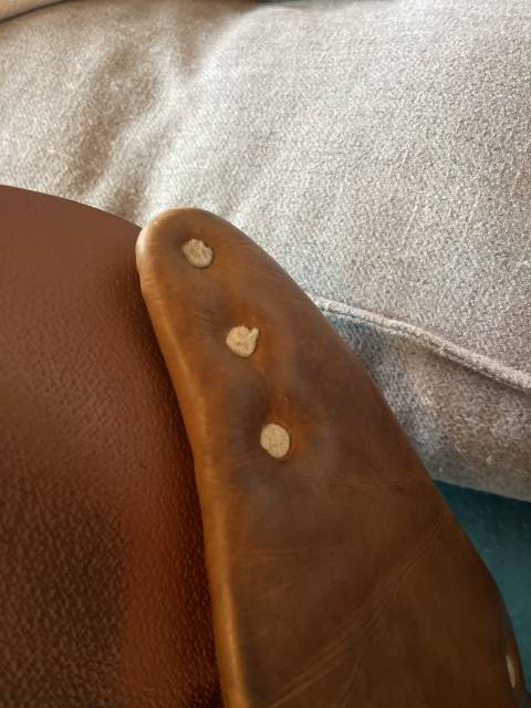 Sella da salto ostacoli Antarès  16.5" - 2018