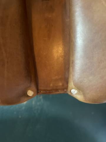 Sella da salto ostacoli Antarès  16.5" - 2018