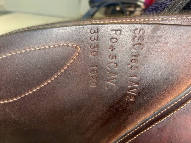 Sella da salto ostacoli GBS  16.5" - 2020