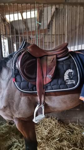 Sella da salto ostacoli Childeric  17.5" - 2018