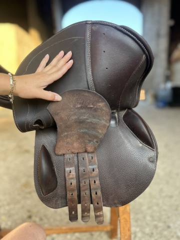 Sella da salto ostacoli Prestige Italia Passion jump 17" - 2021