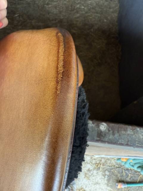 Sella da salto ostacoli Delgrange  17.5" - 2017