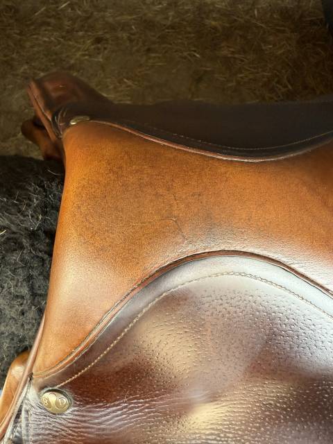 Sella da salto ostacoli Delgrange  17.5" - 2017