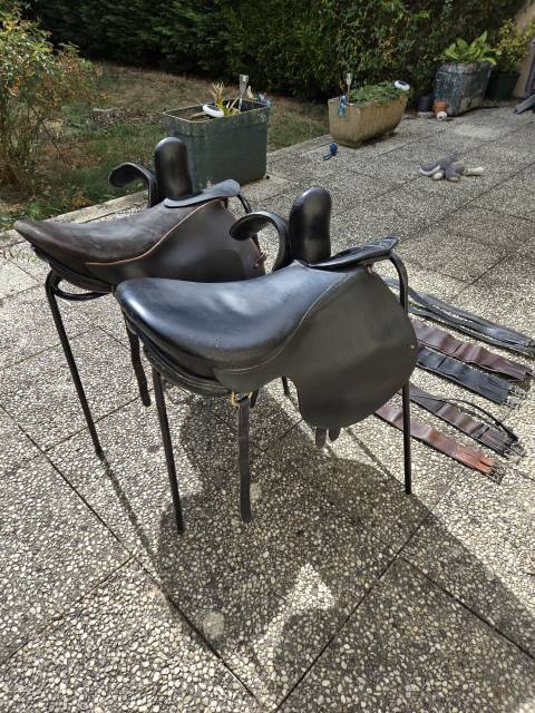 Sella amazzone Phoenix  17.5" - 2016
