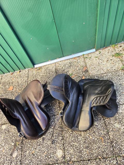 Sella amazzone Phoenix  17.5" - 2016