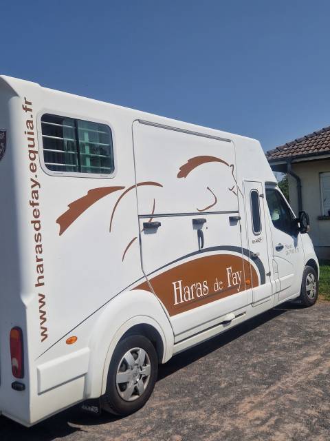 Van per Cavalli Renault Master  2016 Occasione