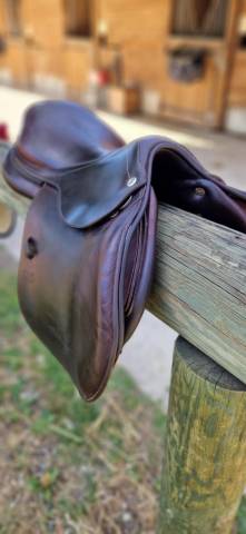 Sella da salto ostacoli CWD  16.5" - 2017
