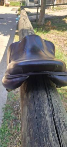 Sella da salto ostacoli CWD  16.5" - 2017