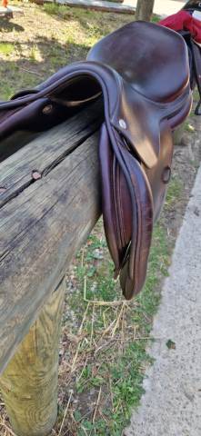 Sella da salto ostacoli CWD  16.5" - 2017