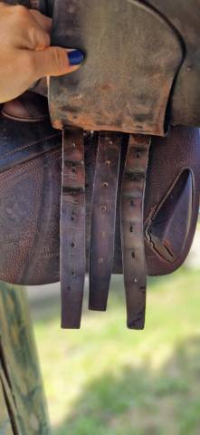 Sella da salto ostacoli CWD  16.5" - 2017