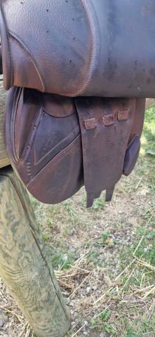 Sella da salto ostacoli CWD  16.5" - 2017