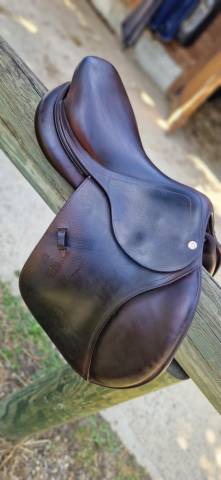 Sella da salto ostacoli CWD  16.5" - 2017