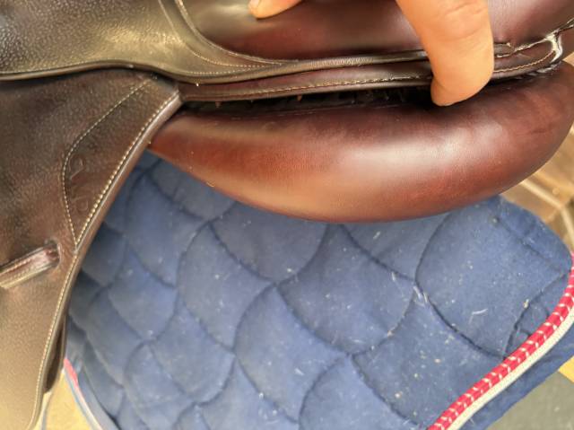 Sella da salto ostacoli CWD  17.5" - 2019