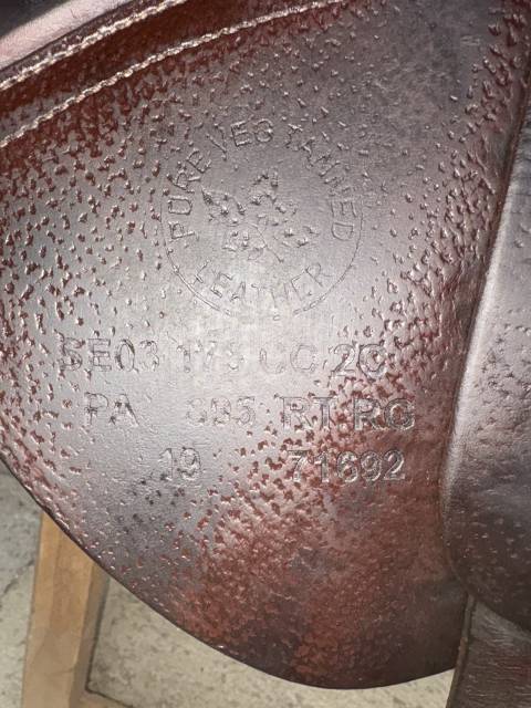 Sella da salto ostacoli CWD  17.5" - 2019