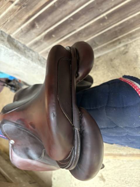 Sella da salto ostacoli CWD  17.5" - 2019