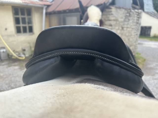 Sella mista TdeT  17.5" - 2024