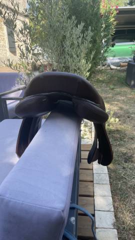 Sella da salto ostacoli Antar&egrave;s  17.5" - 2023