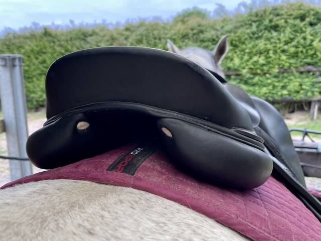 Sella mista Antarès  17.5" - 2017