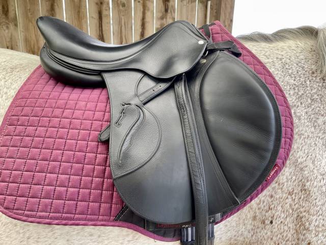 Sella mista Antarès  17.5" - 2017