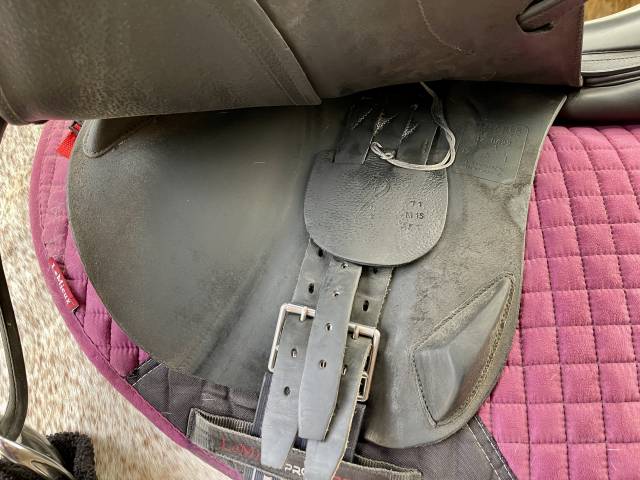 Sella mista Antarès  17.5" - 2017