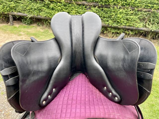 Sella mista Antarès  17.5" - 2017