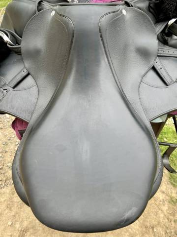 Sella mista Antarès  17.5" - 2017