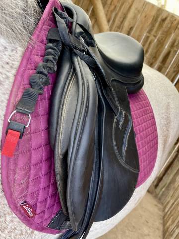 Sella mista Antarès  17.5" - 2017