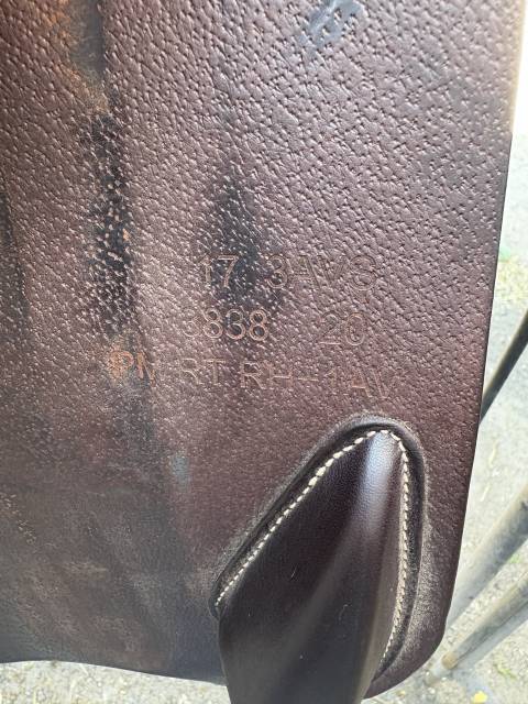 Sella da salto ostacoli Jump in  17" - 2020