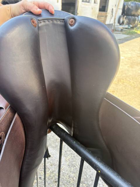 Sella da salto ostacoli Jump in  17" - 2020