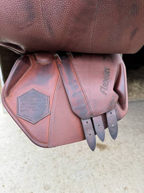 Sella da salto ostacoli  Flex On  17" - 2024