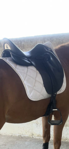 Sella da dressage Childeric  18" - 2023