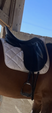 Sella da dressage Childeric  18" - 2023
