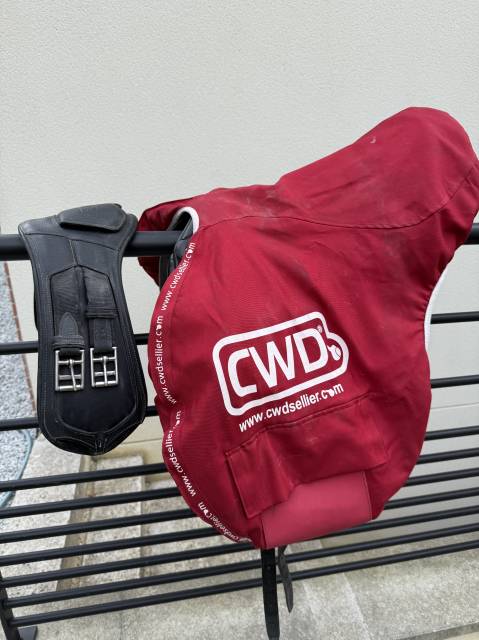 Sella da dressage CWD  17.5" - 2020