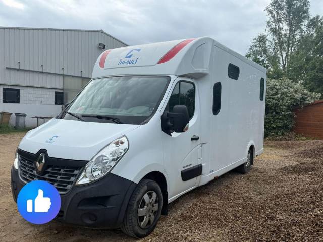 Van per Cavalli Renault  2017 Occasione