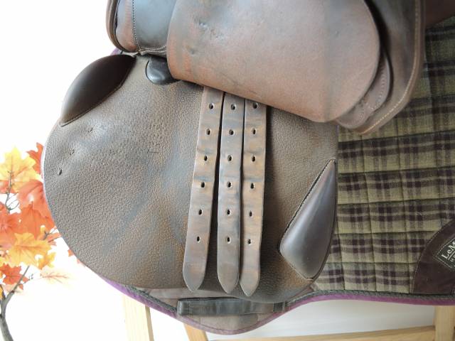 Sella da salto ostacoli Delgrange  18" - 2015