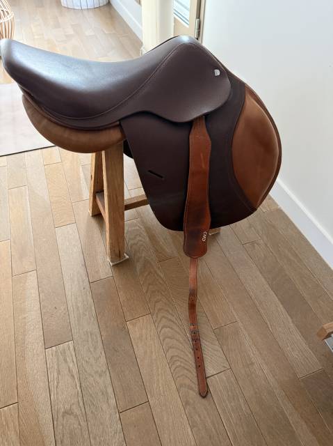 Sella da salto ostacoli CWD  17" - 2020