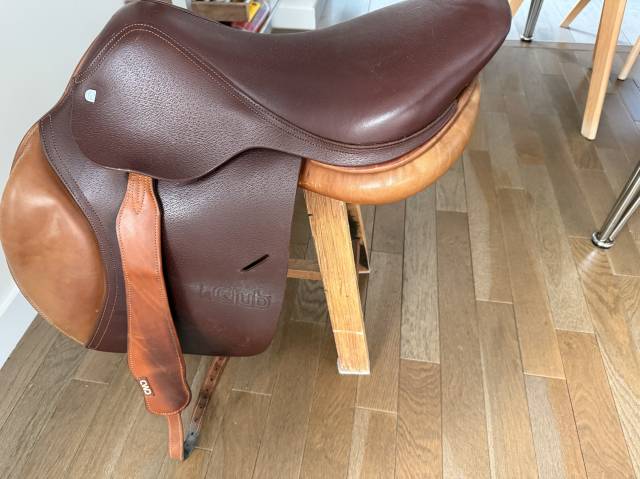 Sella da salto ostacoli CWD  17" - 2020