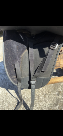 Sella da dressage Wintec  17.5" - 2013