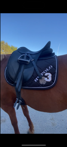 Sella da dressage Wintec  17.5" - 2013