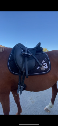 Sella da dressage Wintec  17.5" - 2013