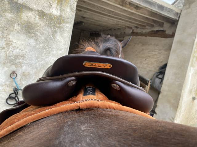 Sella da salto ostacoli GBS  17.5" - 2021