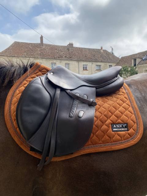 Sella da salto ostacoli GBS  17.5" - 2021