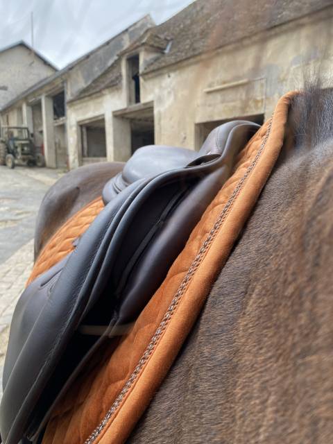 Sella da salto ostacoli GBS  17.5" - 2021