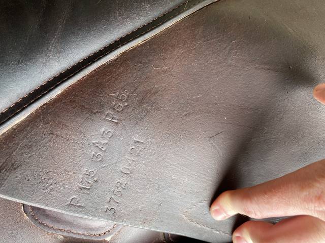 Sella da salto ostacoli GBS  17.5" - 2021