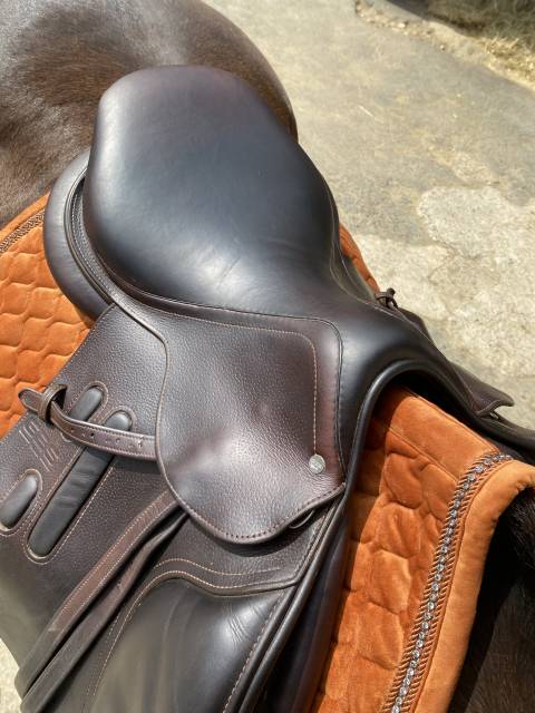 Sella da salto ostacoli GBS  17.5" - 2021