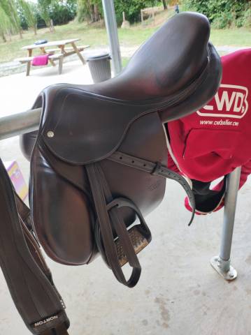 Sella mista CWD  17.5" - 2012