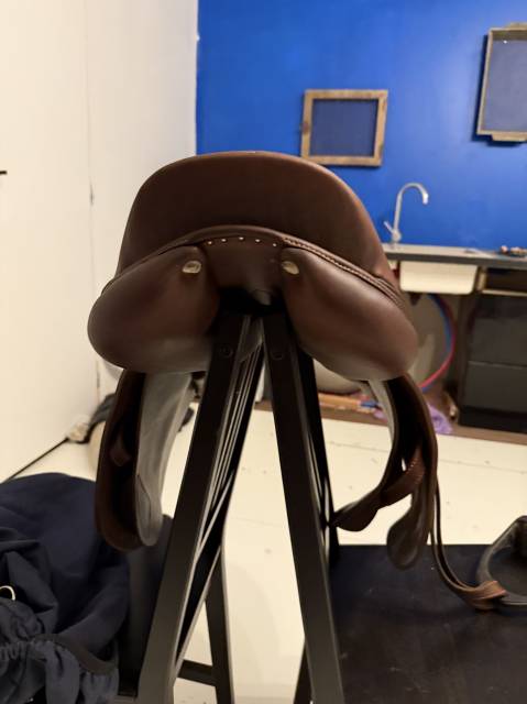 Sella da salto ostacoli Antarès  17" - 2020