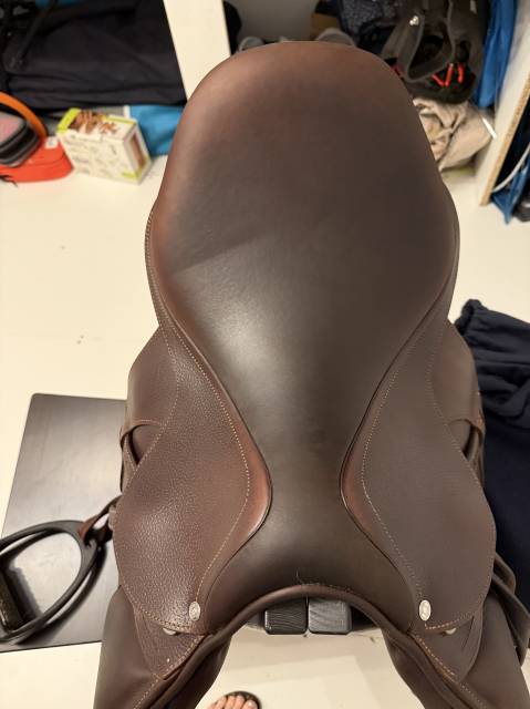 Sella da salto ostacoli Antarès  17" - 2020