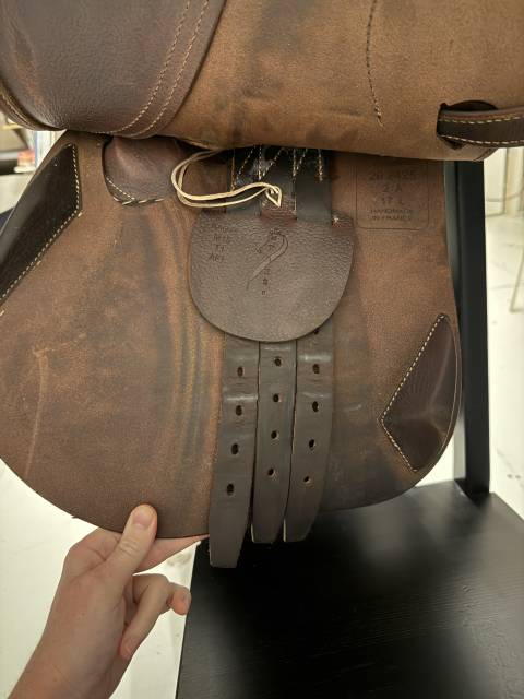 Sella da salto ostacoli Antarès  17" - 2020