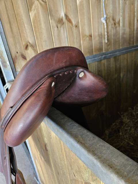 Sella da salto ostacoli Eric Thomas  17.5" - 2019